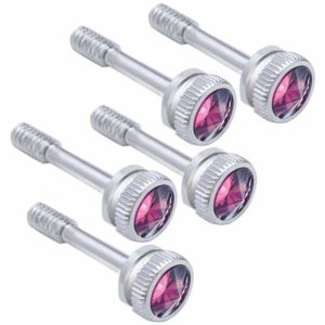 Chrome Dash Screws With Purple Jewel  For Peterbilt (Pack Of 5)
