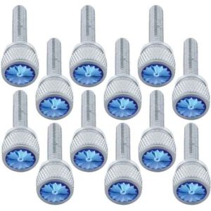 Chrome Long Dash Screw W/ Blue Crystal  For Kenworth - 12 Pack