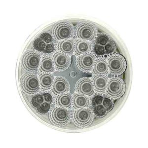 4 Inch 40 Diode Amber LED Turn Signal Light Clear Lens